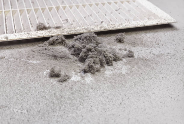 Best Air Duct Cleaning Near Me  in Temple, GA
