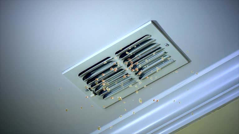 Best Ductwork Cleaning Services  in Temple, GA